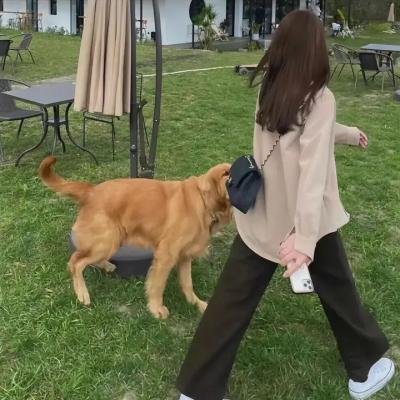 纪录综艺